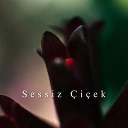 Sessiz Çiçek: Doğanın Sessiz Nefesi - Gevşeme Meditasyon Akademisi