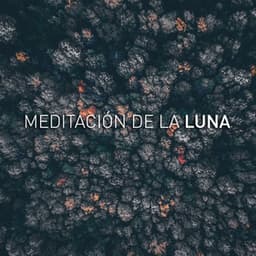 Yoga Music - Luna Tunes