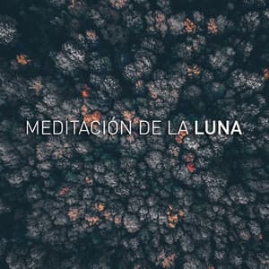 Yoga Music - Luna Tunes