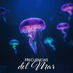 Frecuencias del Mar: Baño de Sonido con Todas las 9 Frecuencias Solfeggio - Hz Meditación