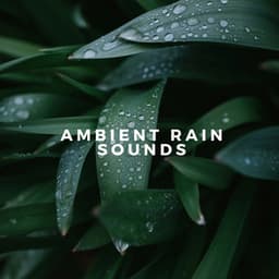 Ambient Rain Sounds - Rain WRLD
