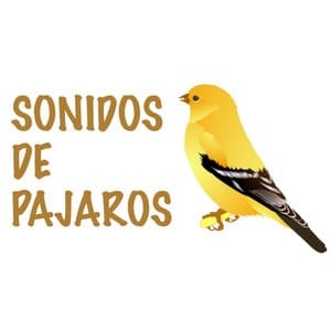 Sonidos de Pajaros - Sonidos De Pajaros