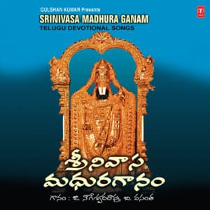 Srinivasa Madhura Ganam - G. Nageshwara Naidu