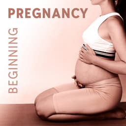 Pregnancy Beginning: Soothe Pregnancy Anxiety, Calm Your Pregnancy Nausea - Pregnancy Academy