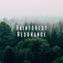 Rainforest Resonance: Forest Rain for Mindful Relaxation - Nature Label