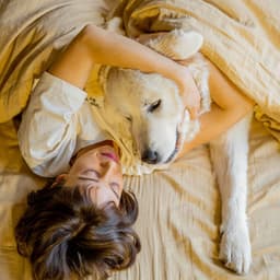 Piano Rain: Embrace in Pet's Dreamland - Relaxing Piano Music Classic