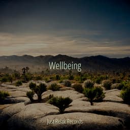 Wellbeing - Mantra para Dormir