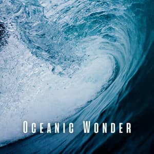 Oceanic Wonder: Soothing Babies with Chill Sounds - Sounds Of The Ocean