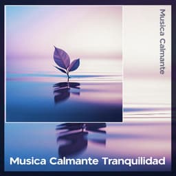 Musica Calmante Tranquilidad - Música Calmante