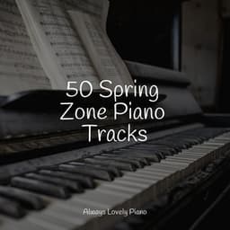 50 Beautiful Tracks for Chilling Out - Piano Shades