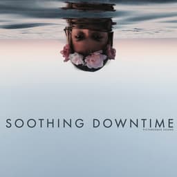Soothing Downtime - Picturesque Sound