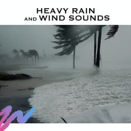 Heavy Rain and Wind Sounds - Serene Rose