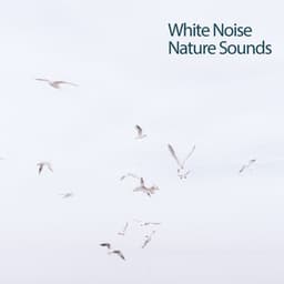 White Noise Nature Sounds - White Noise Spa