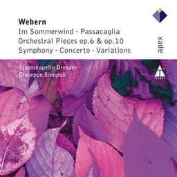 Webern : Im Sommerwind, Orchestral Works & Variations - Anton Webern