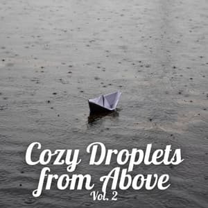 Cozy Droplets from Above Vol. 2 - Complete Spa Music