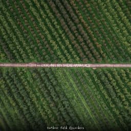 Countryside Walks - Outdoor Field Recorders