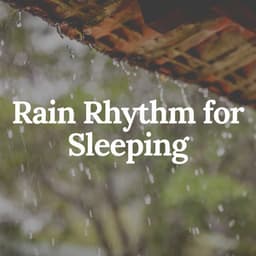 Rain Rhythm for Sleeping - Rain Radiance