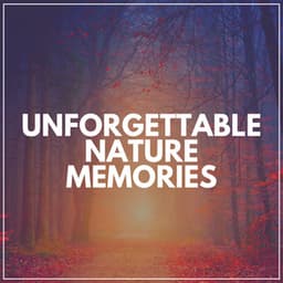 Unforgettable Nature Memories - Nature's Noise