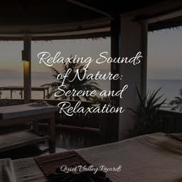 Relaxing Sounds of Nature: Serene and Relaxation - Especialistas de Musica para Dormir