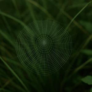 360 Awareness: Echo Thread - Spa Music Relaxation