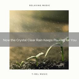 2020 Best: Now the Crystal Clear Rain Keeps Pouring for You - Rain Noise Sleep