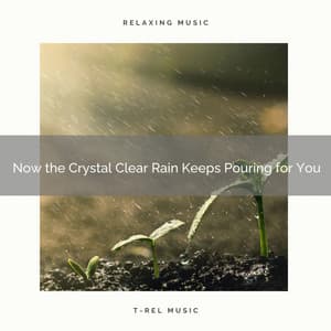 2020 Best: Now the Crystal Clear Rain Keeps Pouring for You - Rain Noise Sleep