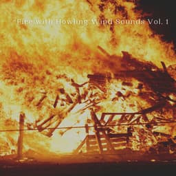 Fire with Howling Wind Sounds Vol. 1 - Dog Music Library
