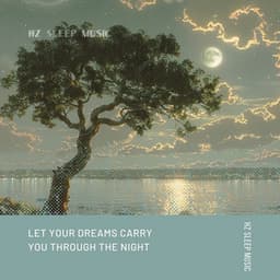 Let Your Dreams Carry You Through the Night - Hz Sleep Music