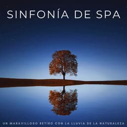 Sinfonía De Spa: Un Maravilloso Retiro Con La Lluvia De La Naturaleza - Ritmos Lofi Hop-Hop