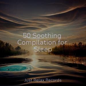 50 Soothing Compilation for Sleep - Calm Music for Studying