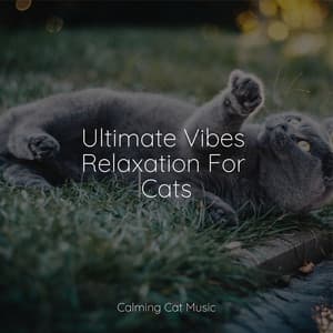 Ultimate Vibes Relaxation For Cats - Music for Cats Peace