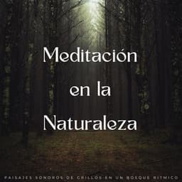 Meditación En La Naturaleza: Paisajes Sonoros De Grillos En Un Bosque Rítmico - Resplandor de la naturaleza