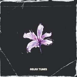 3 2 1 Relax Tunes - LOFI RADIO