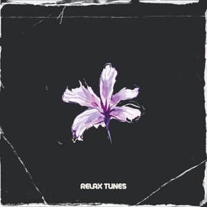 3 2 1 Relax Tunes - LOFI RADIO