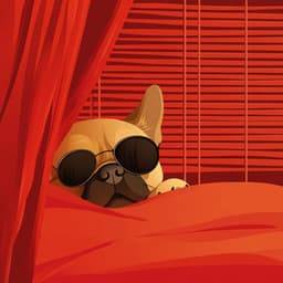 Sanfte Achterbahn durch die Klang-Zeitschleife - Reiki for Animals