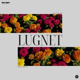 Lugnet - Lugna Resten