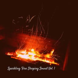 Sparkling Fire Sleeping Sound Vol. 1 - Sleepy Times