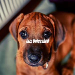 Jazz Unleashed - Separation Anxiety Dog Music