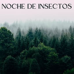 Noche De Insectos - Grillos nocturnos