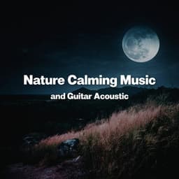 Nature Calming Music and Guitar Acoustic: Mindfulness Meditation for Anxiety, Cozy Sleep Therapy, Affirmations before Bed - Calming Music Sanctuary