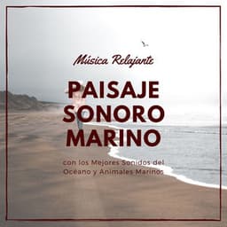 Paisaje Sonoro Marino: Música Relajante con los Mejores Sonidos del Océano y Animales Marinos - Olas del Mar