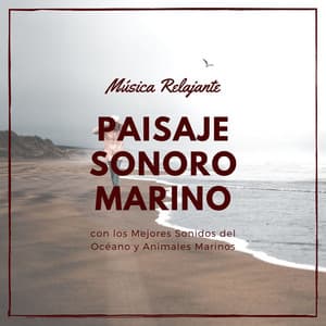 Paisaje Sonoro Marino: Música Relajante con los Mejores Sonidos del Océano y Animales Marinos - Olas del Mar