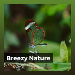 Breezy Nature - Nature Sleep