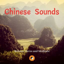 Release Stress and Meditate with Chinese Sounds - Chinese Yang Qin Relaxation