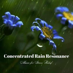 Concentrated Rain Resonance: Music for Stress Relief - Wet Rain 3AM