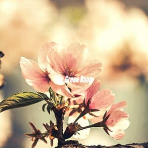 The Green Room - Cafe Jazz