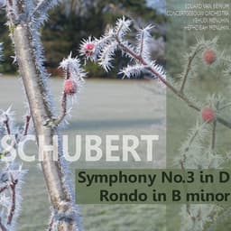 Schubert: Symphony No. 3 in D, Rondo in B Minor - Franz Schubert