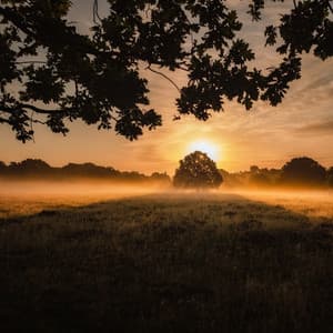 50 Meditation Zen Spa Songs - Sounds of Nature White Noise Sound Effects