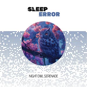 Night Owl Serenade: My Playlist for Binge-Watching the Ceiling - Sleep Error