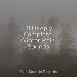 50 Deeply Complete Winter Rain Sounds - Shakuhachi Sakano